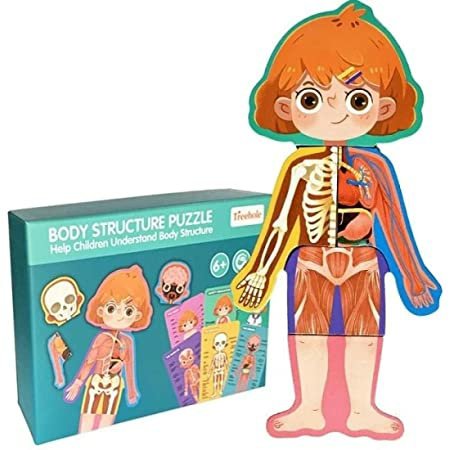 Puzzle Struktura trupore PSTV, vajzë