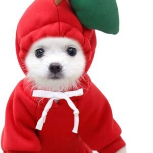 Kostum për kafshë shtëpiake, L